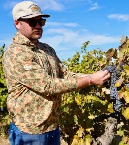 Vines in decline: California grape farmers struggling to sell